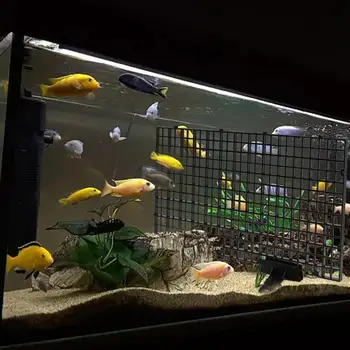 4ШТ Разделитель аквариума для аквариумных рыб, Изолирующий зажим, Перегородка с 8 присосками, Разделительный зажим, Решетка для инструментов для аквариума