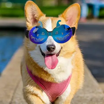 Очки для домашних животных, Ветрозащитные линзы Cool Pumpkin с защитой от тумана, Удобная оправа с регулируемыми ремешками, солнцезащитные очки для собак с защитой от ультрафиолета