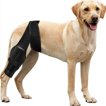 Поддерживающая повязка для защиты от травм лап собаки для предотвращения лизания и восстановления
